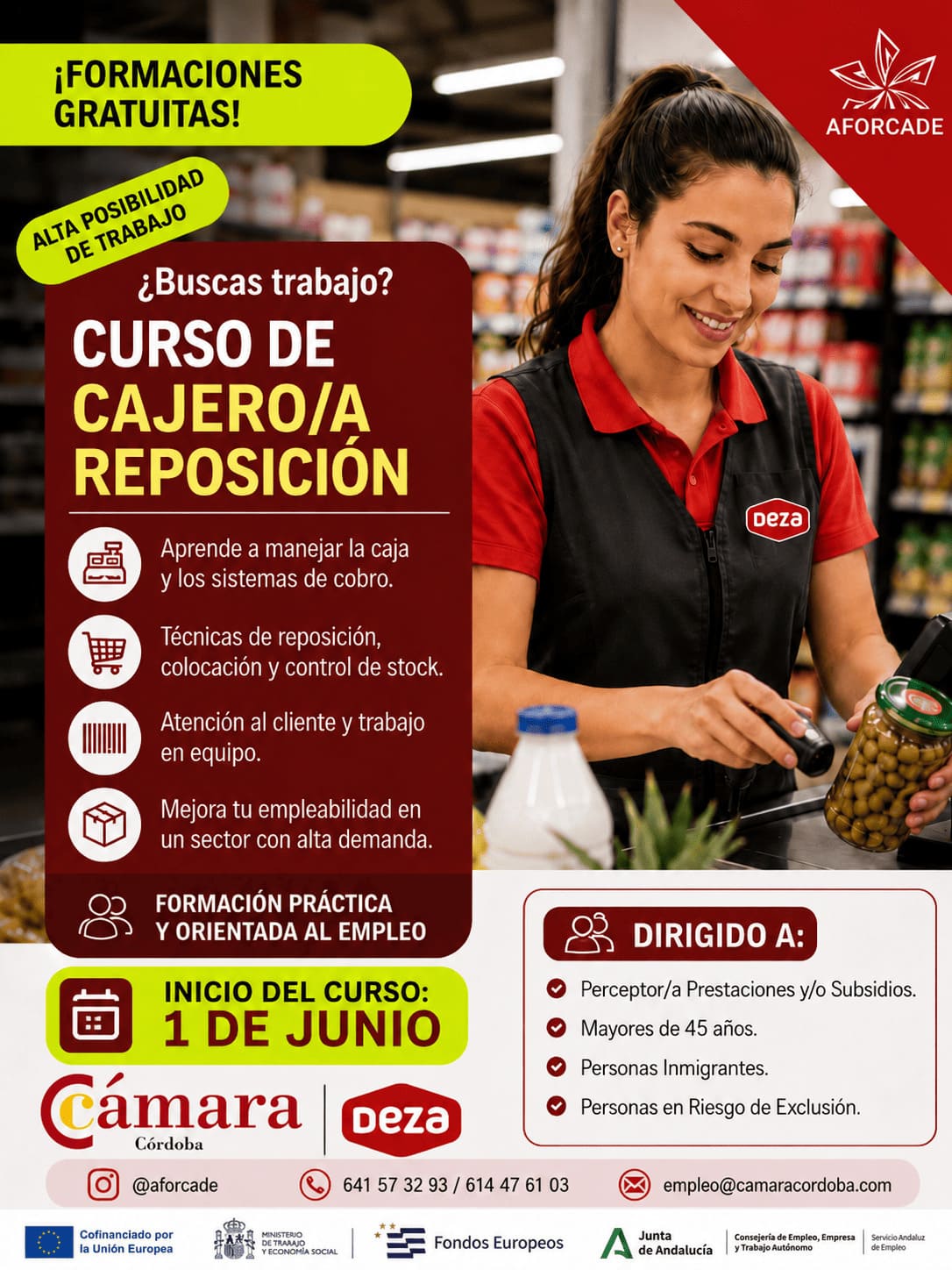 Cartel Curso 