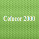 Cefocor 2000 S.L.