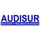 Audisur